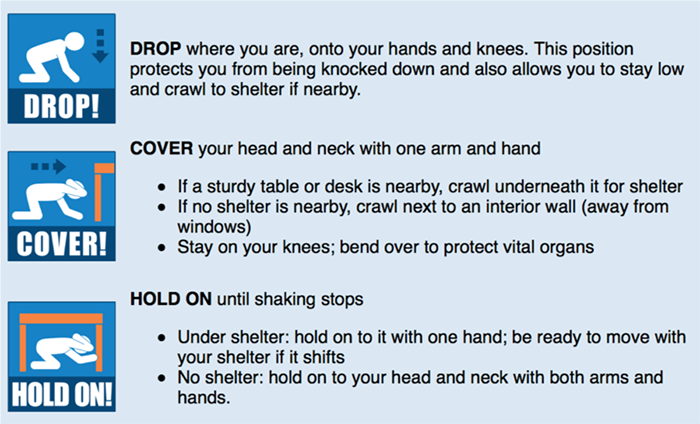 Drop, Cover and Hold On Steps