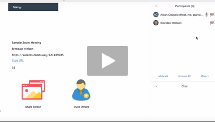 Meeting Controls